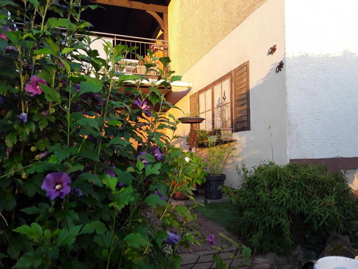 Momlingen Haus Sonnenblick 아파트 외부 사진