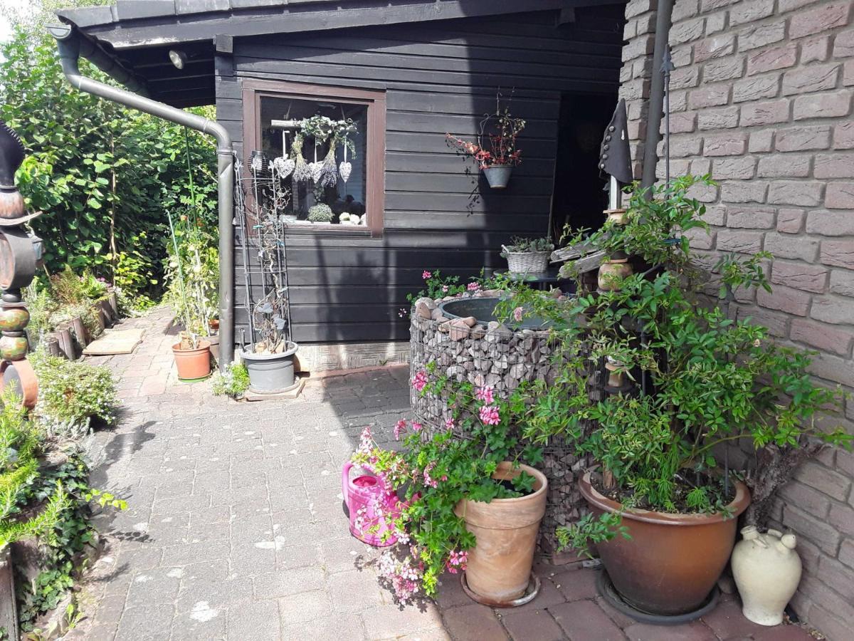Momlingen Haus Sonnenblick 아파트 외부 사진